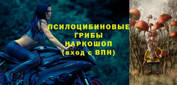 сатива Корсаков