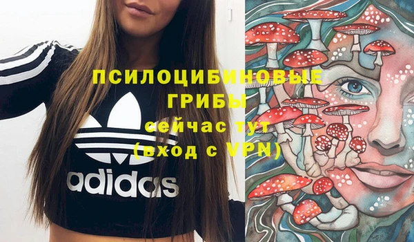 сатива Корсаков