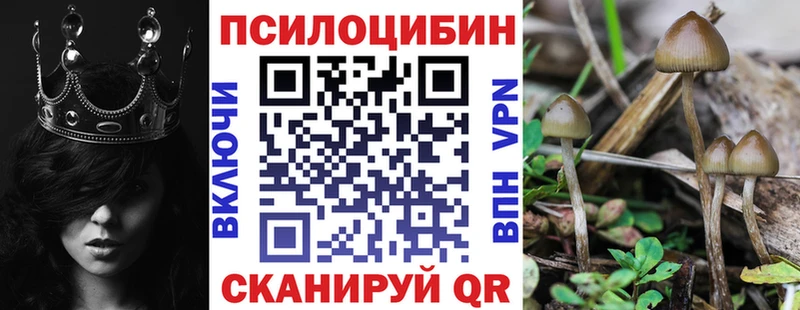 Галлюциногенные грибы Cubensis  Купить где  Вельск 