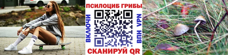 Псилоцибиновые грибы мицелий Вельск